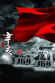 辛亥 封面