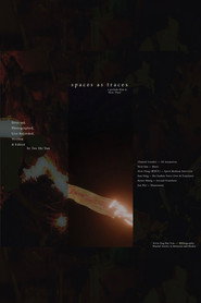 spaces as traces 封面