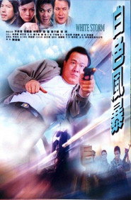 白色风暴 封面