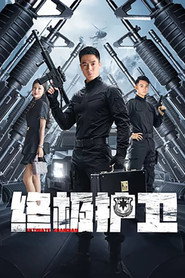 终极护卫 封面