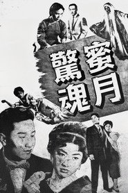 蜜月驚魂 封面