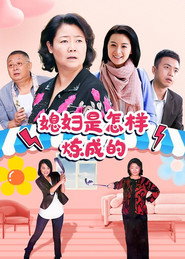 媳妇是怎样炼成的 封面