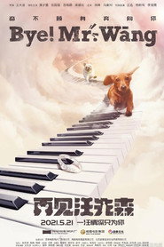 再见汪先森 封面