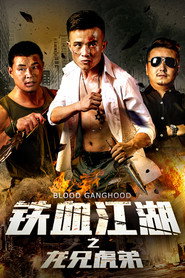 铁血江湖之龙兄虎弟 封面