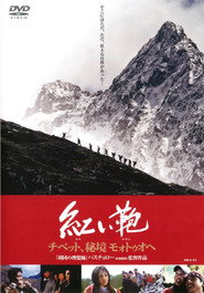 心跳墨脱 封面