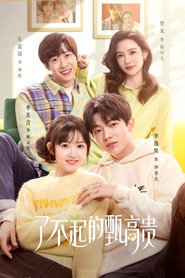 了不起的甄高贵 封面