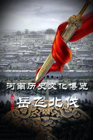 岳飞北伐 封面