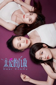 亲爱的仇敌 封面