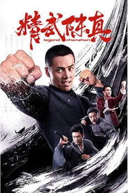 精武陈真 封面