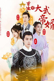 重生之大武帝婿 封面