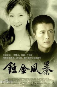 蚀金风暴 封面