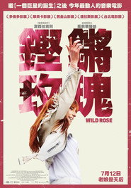 野玫瑰 封面