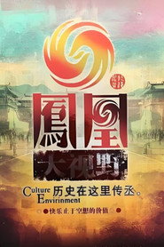 凤凰大视野 封面