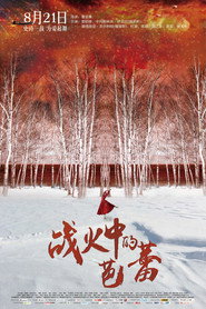战火中的芭蕾 封面
