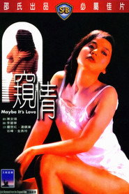 窥情 封面