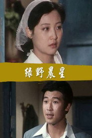 绿野晨星 封面