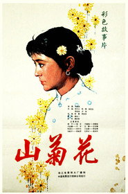 山菊花 封面