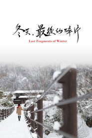 冬天,最后的碎片 封面
