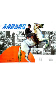奔向银幕的马 封面