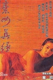素女经之挑情宝鉴 封面