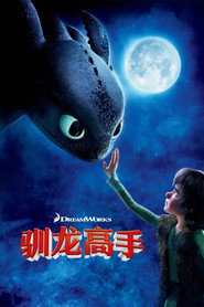 驯龙高手 封面