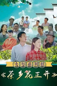 茶乡花正开 封面