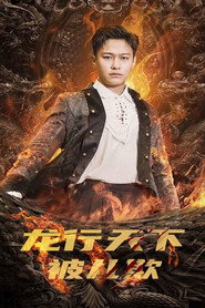龙行天下被儿欺 封面