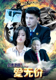 金牌律师之爱无价 封面
