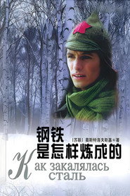 钢铁是怎样练成的 封面