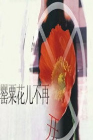 罂粟花儿不再开 封面