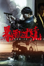 暴雨过境 封面