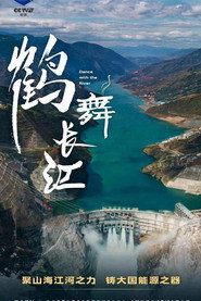 鹤舞长江 封面