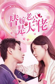 替嫁老公是大佬 封面