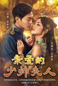 亲爱的少帅夫人 封面