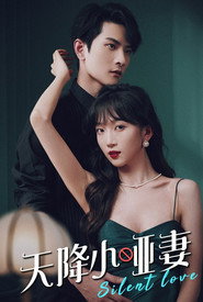 天降小哑妻 封面
