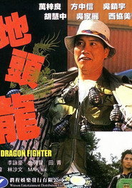 地头龙 封面