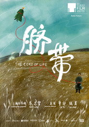 脐带 封面
