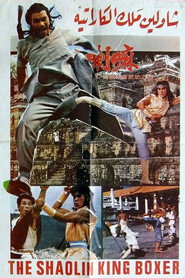 铁拳 封面