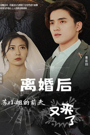 离婚后,苏小姐的前夫又来了 封面