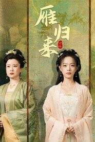 雁归来 封面