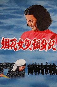烟花女儿翻身记 封面