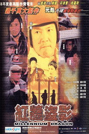 红墙盗影 封面