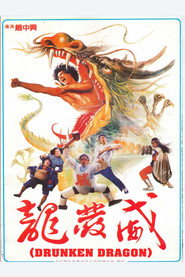 龙发威 封面