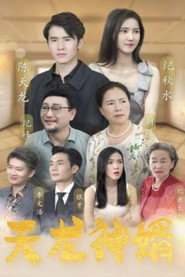 天龙神婿 封面