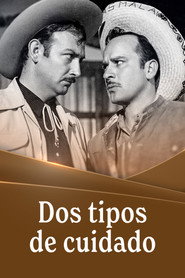 Dos tipos de cuidado 封面