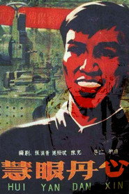 慧眼丹心 封面