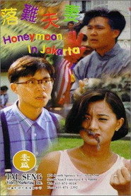 落難夫妻 封面
