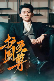 护国圣尊 封面