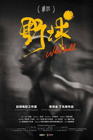 野球 封面
