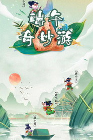河南卫视端午奇妙游 封面